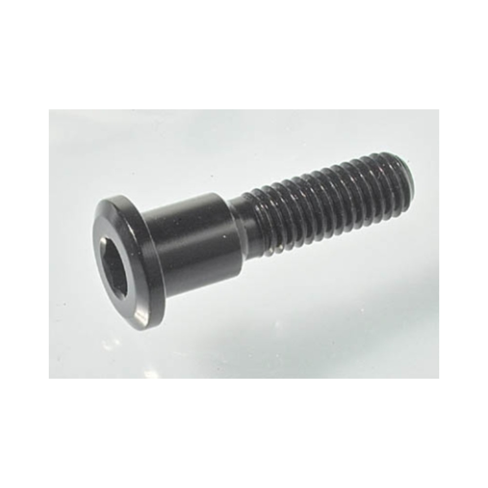 Vis spéciale Ergal 7075 LIGHTECH M8 X 33 type 960 or