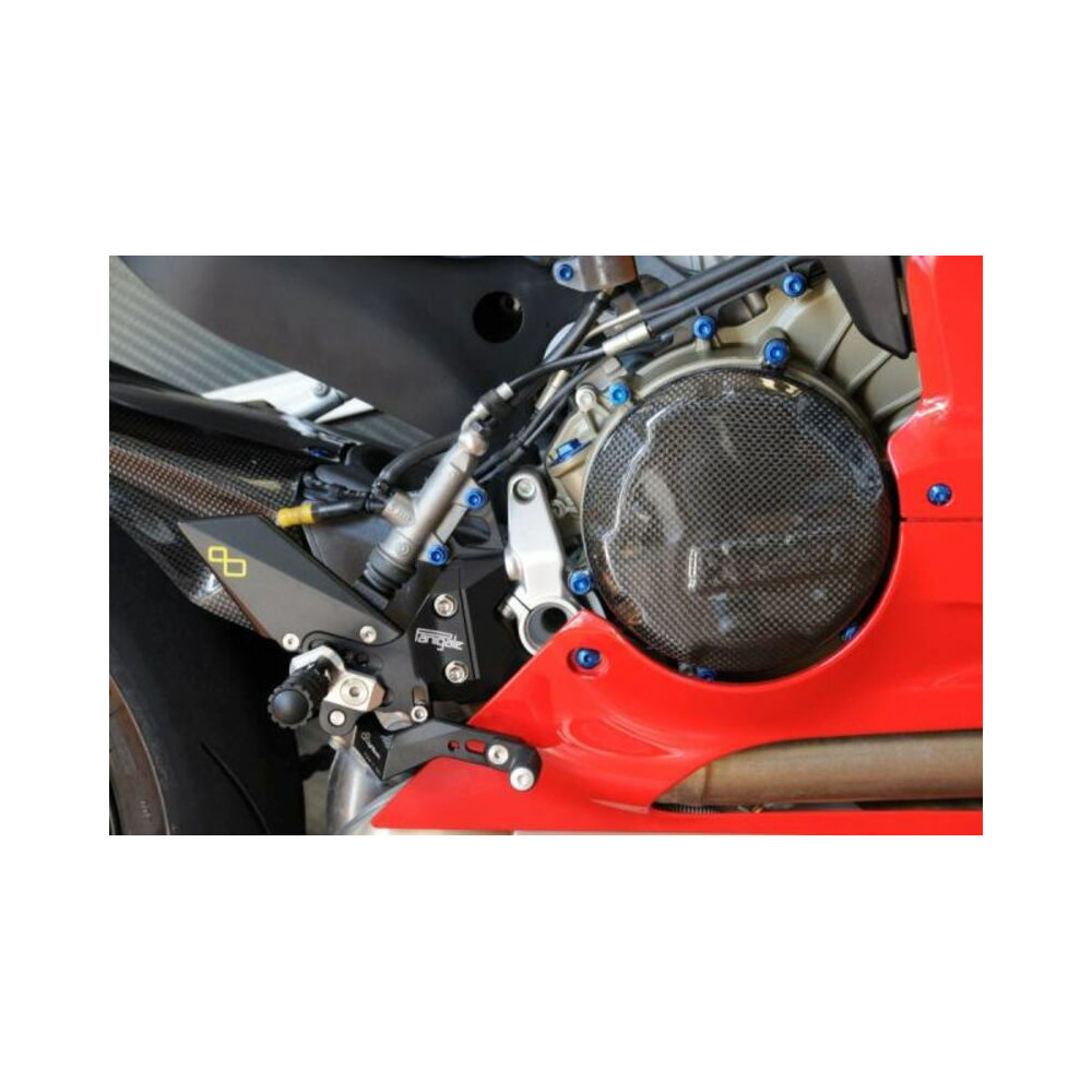 Couvre carter alternateur LIGHTECH carbone brillant Ducati Panigale