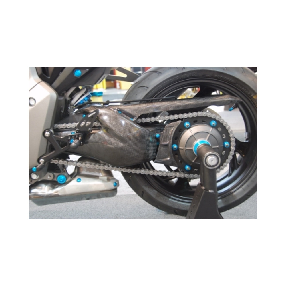 Carter de bras oscillant LIGHTECH carbone brillant Honda Cb1000R