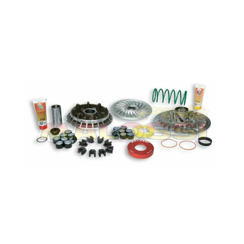 Variateur MALOSSI Over Range - Yamaha-MINARELLI