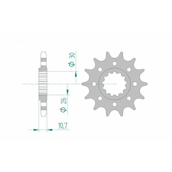 Pignon AFAM acier standard 21805 - 525