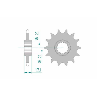 Pignon AFAM acier standard 20407 - 520