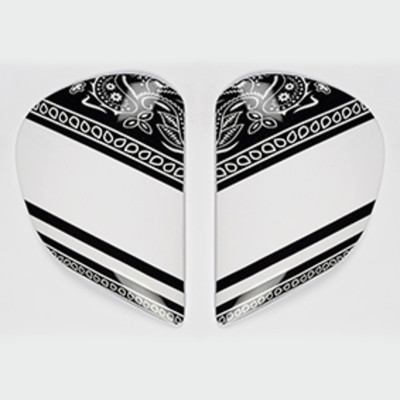 Platine écran SAJ ARAI casque intégral Ribbon White